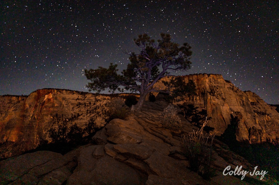 Exploring Zion, landscape photo by Colby Taylor